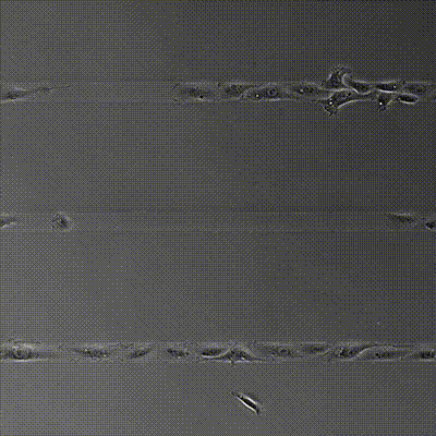 1S_838XX_ex_3d_volume_scan_400.gif